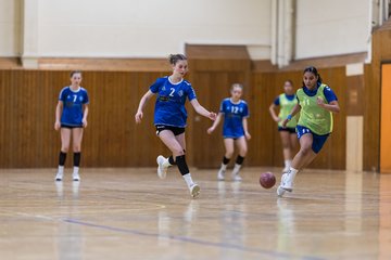 Bild 190 - wBJ TSV Ellerau - HSG Stoertal Hummeln : Ergebnis: 26:19